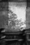 Diana Saville - Fleeting
