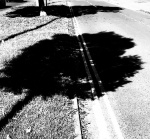 Neil Grantham - Autumn Shadow