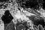 Meriel Flux - front