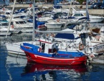 Paul Brewerton - Spot the Working Boat