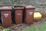 Steve Cooke - Bins