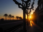 Beckie Lewis - Barcelona Boardwalk