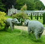 Maureen Robinson - Moreton Mammals