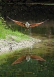 Another fisher in Kerala