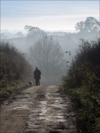Morning mist