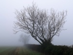 Steve Cooke - The Fog, by James Herbert