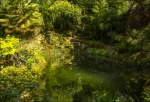 Paul Brewerton - The Secret Garden, by John Buchan