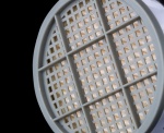 Jim Muller - WhatIsIt-2