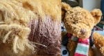 Wendy Meagher - Chris's Teddy Bear
