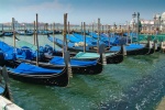 Jim Muller - Venice