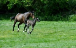 Chris Day - Wow! Just three days old