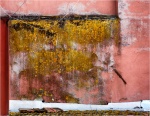 Urban decay