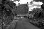 Nicky Westwood - The Leys