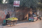 Martyn Pearse - India Street