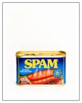 Maureen Tyrrell - Spam