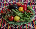 Wendy Meagher - Kitchen - From the garden & from the store