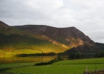 Beckie Lewis - Ranger Rays