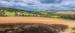 Martyn Pearse - Cotswolds