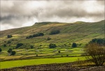 Paul Brewerton - Dry stone walls