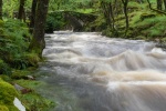 Lindsey Smith. 'After the Rain'. Afon Artro, Snowdonia.