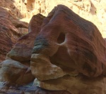 Maureen Robinson - Elephant at Petra