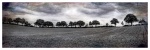 Maureen Tyrrell - North Newington
