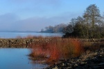 Nicky Westwood - Draycote Water