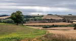 Richard Broadbent - From Kings Sutton