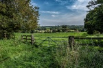 Wendy Meagher - Somerton farm fence