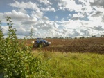 Elaine Argent - Ploughing in Middle Barton