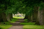 Neil Grantham - Packwood