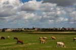 Neil Grantham - Southwold