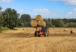 Hardwick-Harvest Time-1