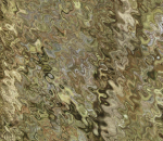 Screenshot 2020-10-13 at 12.02.44
