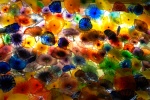 Magic Colours.jpg
