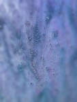 carwash foam