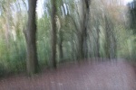 Nicky Westwood - A spooky Cumbrian wood!