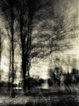 Diana Saville ICM - Stowe