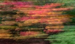 Martyn Pearse - ICM 2