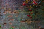 Meriel Flux - Autumn colour Batsford berries and walls