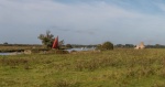 Elaine Argent - Wherry boat and St Benetts Abbey