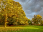 Martyn Pearse - Peoples Park Banbury