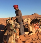 Maureen Robinson - Calming the Camels