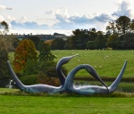 Maureen Robinson - Swans Lake