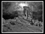 Miggy Wild - Corfe Castle