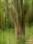 Paul Brewerton - Figure in the Woods