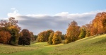 Richard Broadbent - Autumn at Blenheim