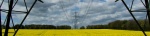 Electric Yellow