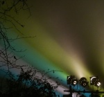 Miggy Wild - three spotlights on the fog
