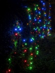 Colin Lamb - Christmas starbursts